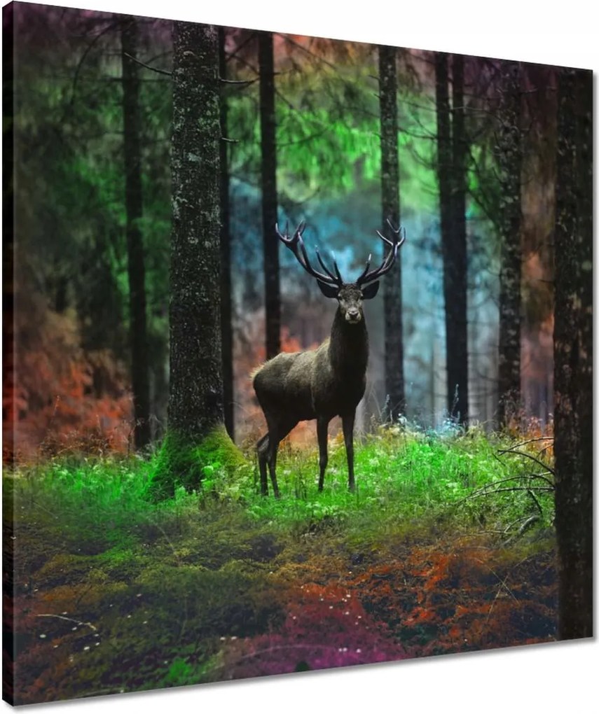 Vászonkép 50x50 Szarvas a mesés erdőben