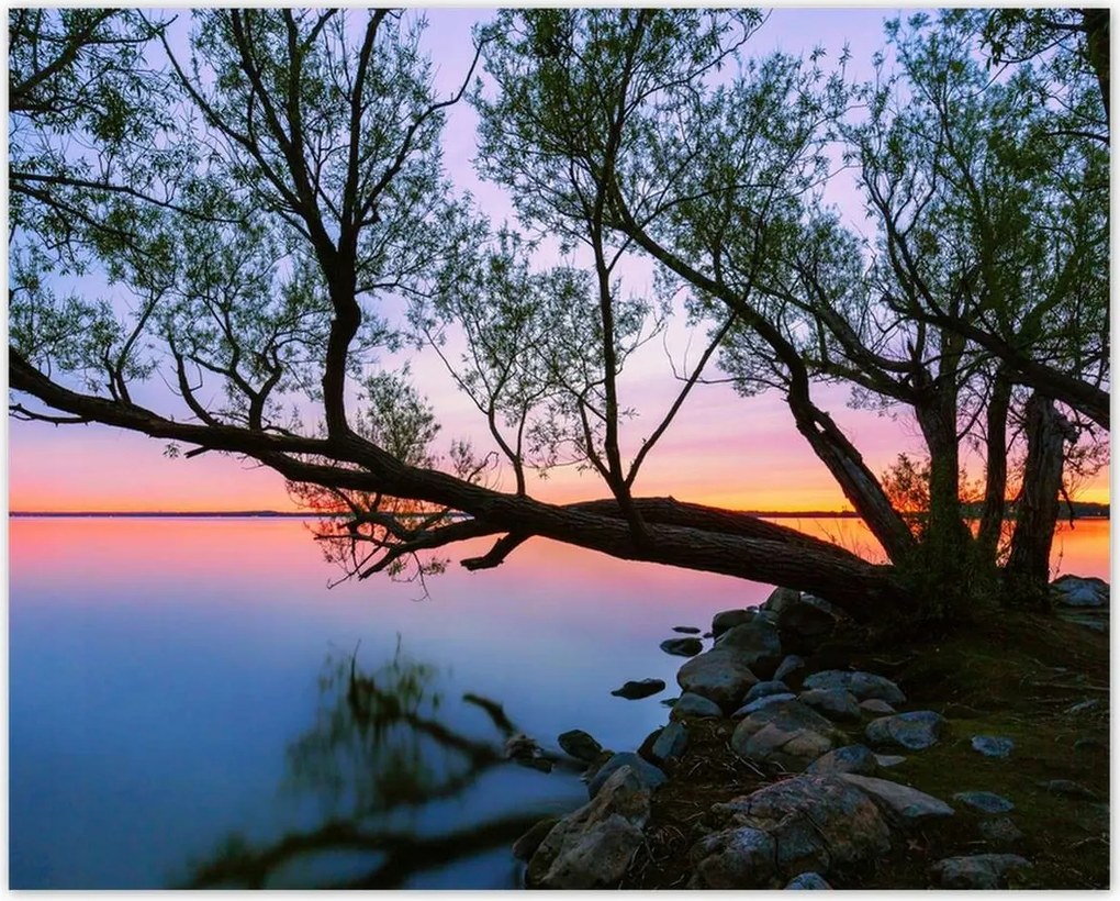 Poszterek 50x40 Sziklák Fa Tó