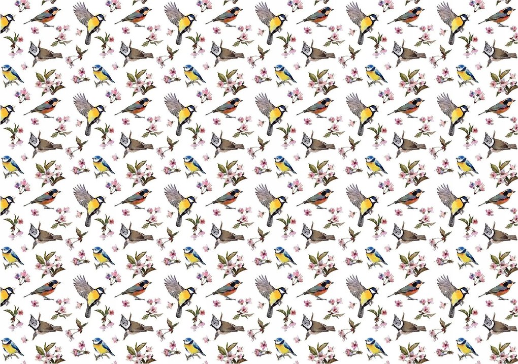Flizelin fotótapéta Madarak és Tavaszi Virágok Finom 312x219 +ragasztó