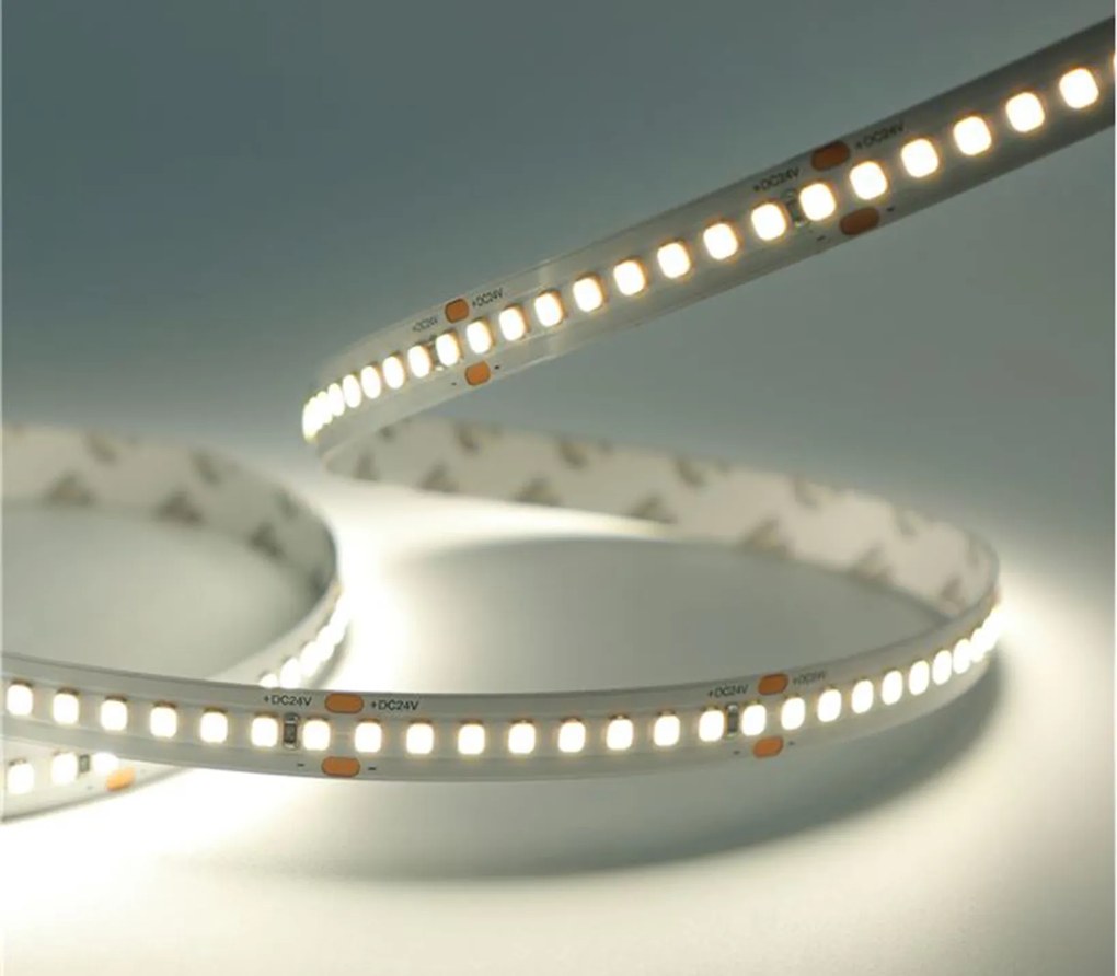 Perfomance HE Pro 24 V LED szalag