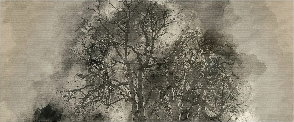 Fali fotótapéta előszoba konyhába Rejtélyes fák 250x104 Ragasztó