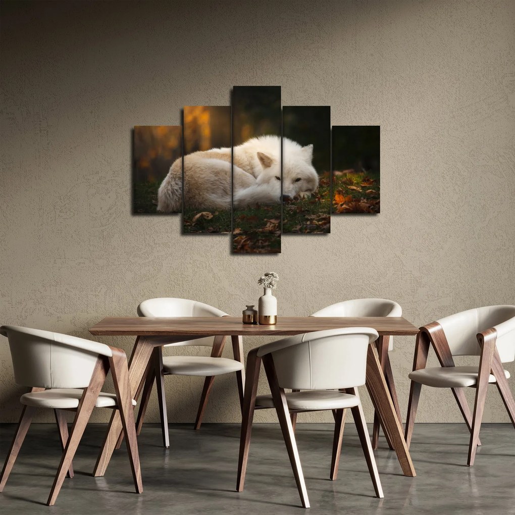 Kép - Pihenő farkas (150x105 cm)