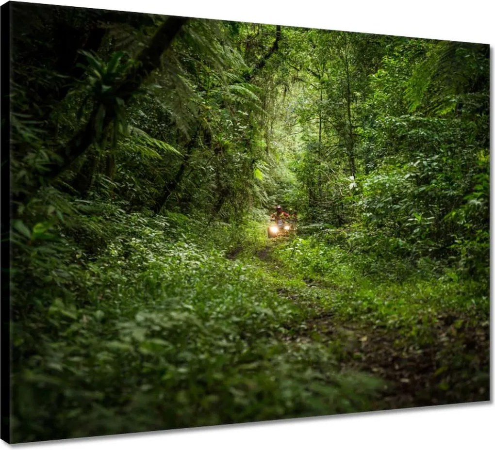 Vászonkép 50x40 Quad Négy kerék Terep