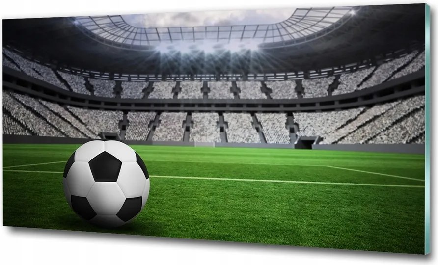 Fotó kép edzett üveg Labda a kapuban 100x70