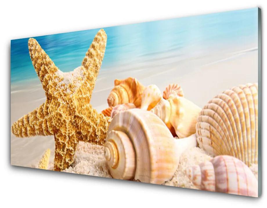 Akrilkép Starfish Shell Art 140x70 cm