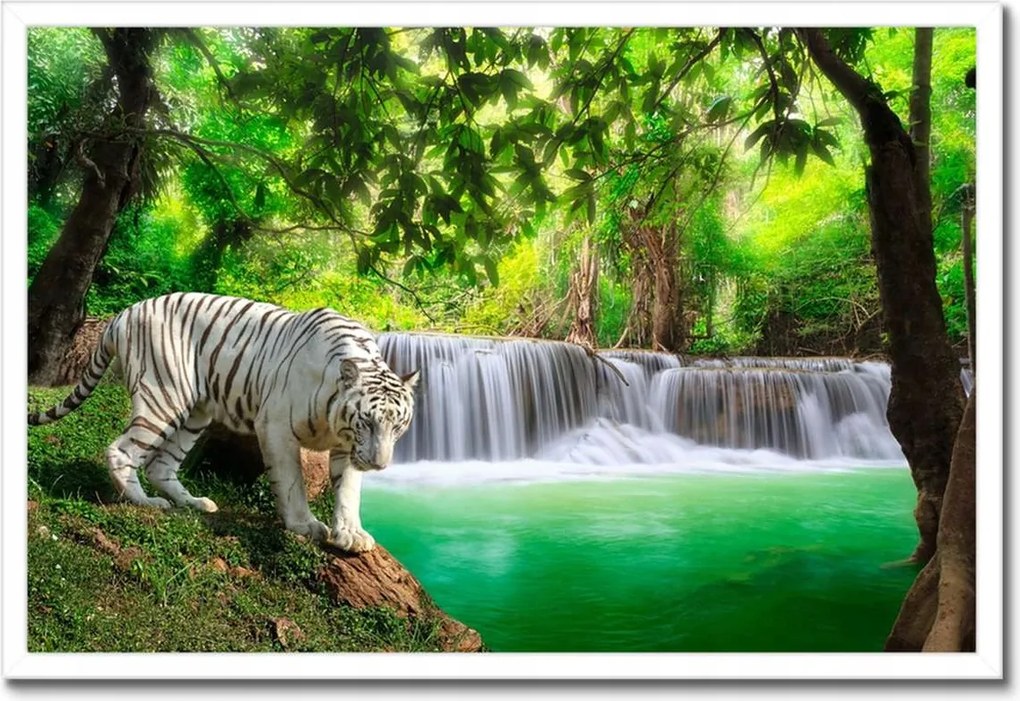 Poszterek keretben 60x40 Tigris a vízesésnél