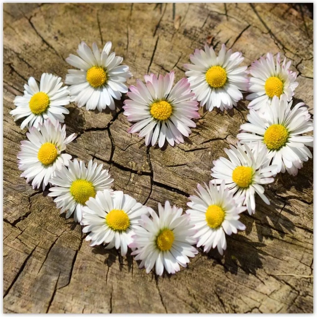 Poszterek 30x30 Kamilla szív