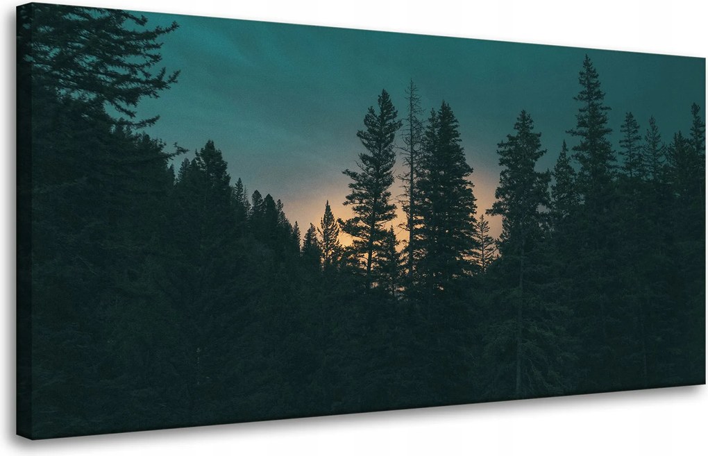 Vászonkép Természet Erdő alkonyatkor Éjszaka 80x40 cm