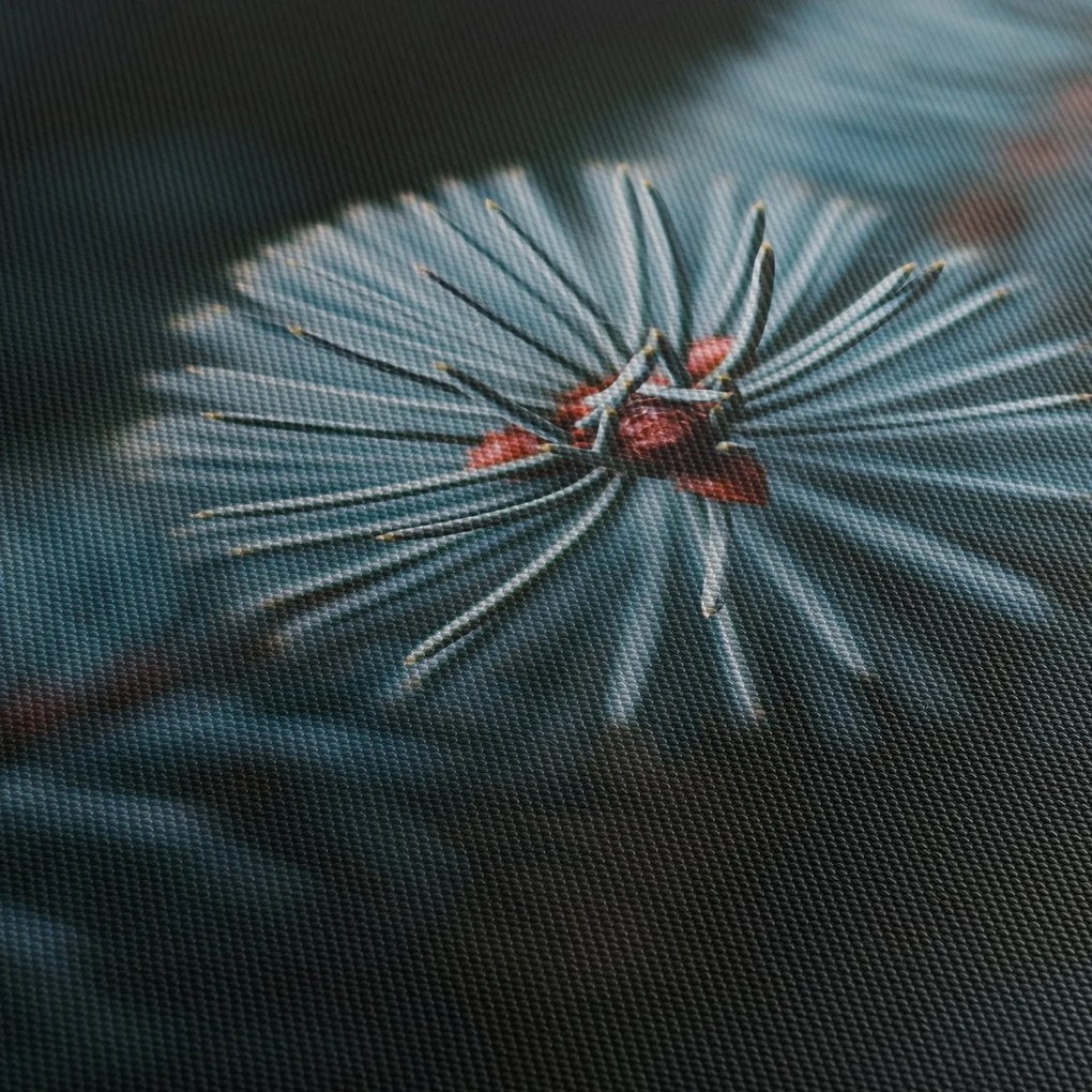 Egy tűlevelű fa gallyának képe (90x60 cm)