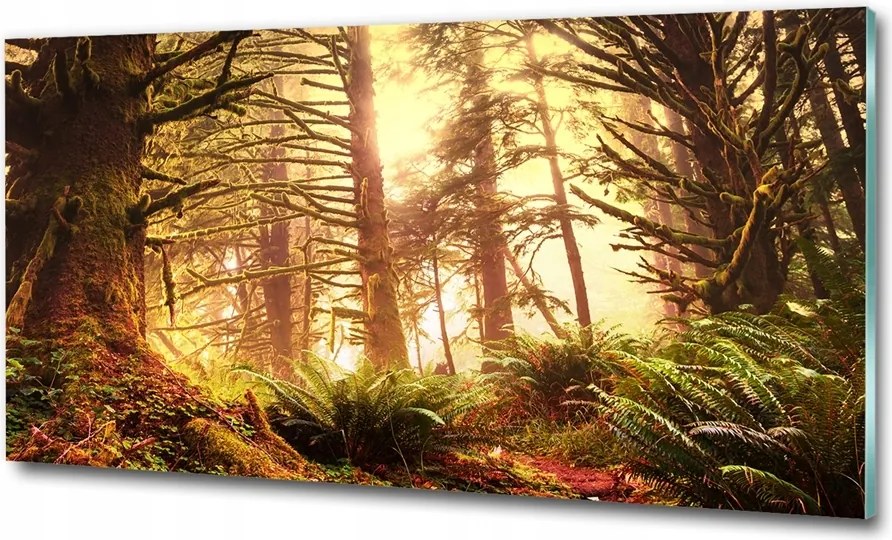 Fotó vászonkép edzett üveg Olczyski patak 125x50