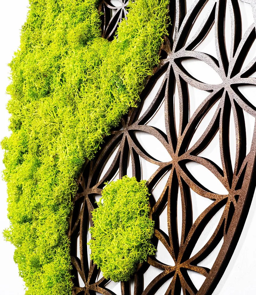 Fa és moha fali dekoráció, yin-yang, 44 cm