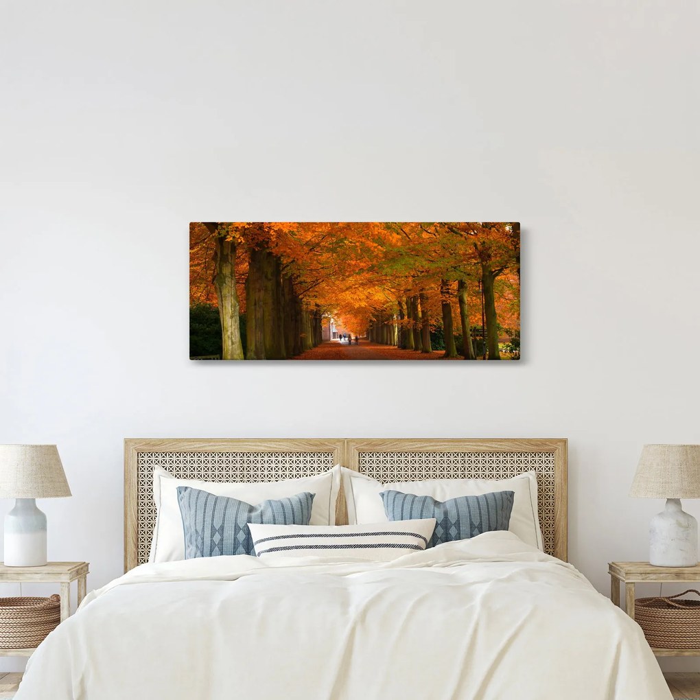 Kép - A Avenue of fák ősszel (120x50 cm)