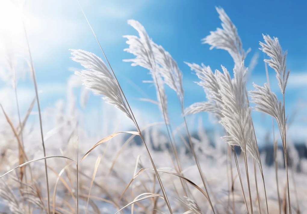 Poszter 66,5x46,5cm Fű közötti zaj