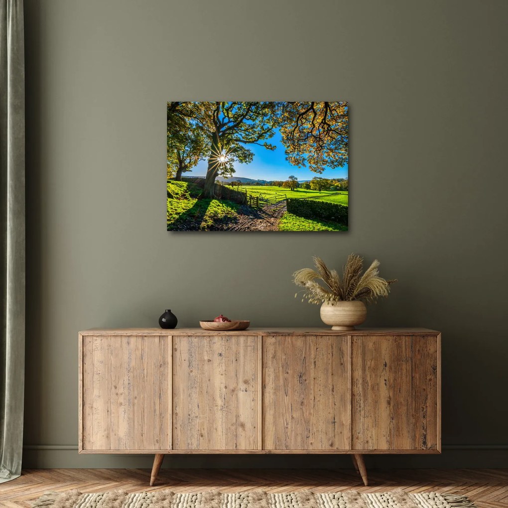 Kép - mező, kilátás (70x50 cm)