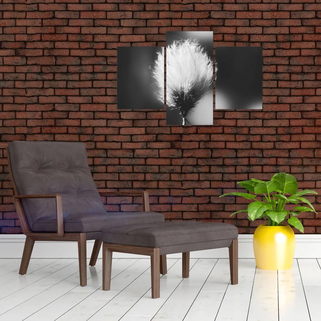Kép - Fekete-fehér pamutfű (90x60 cm)