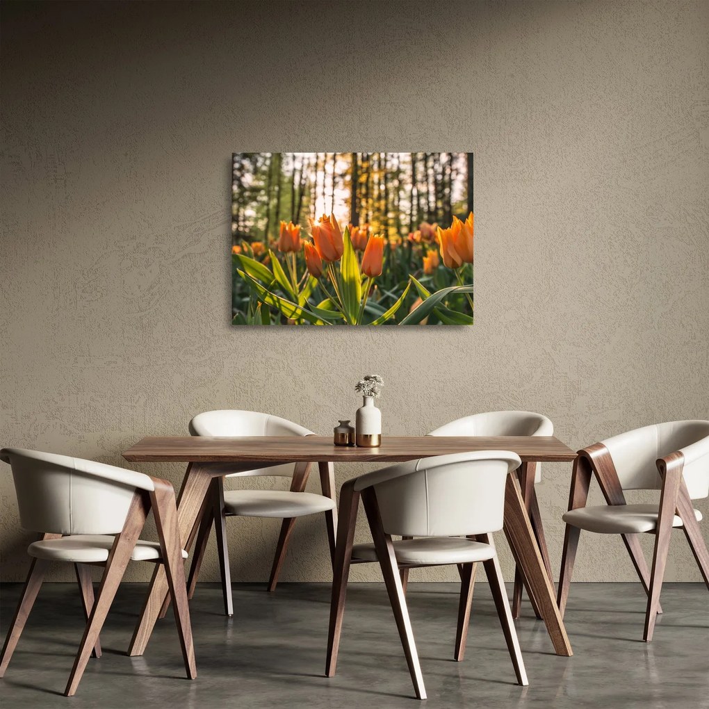Kép - tulipánok (üvegen) (70x50 cm)
