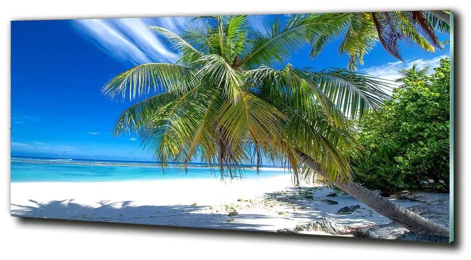 Üvegkép nyomtatás Trópusi tengerpart cz-obglass-125x50-82585815