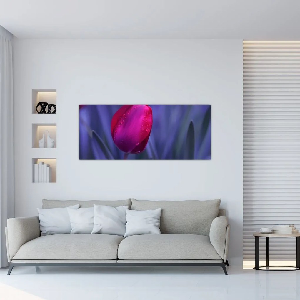 Tulipán bimbó képe (120x50 cm)