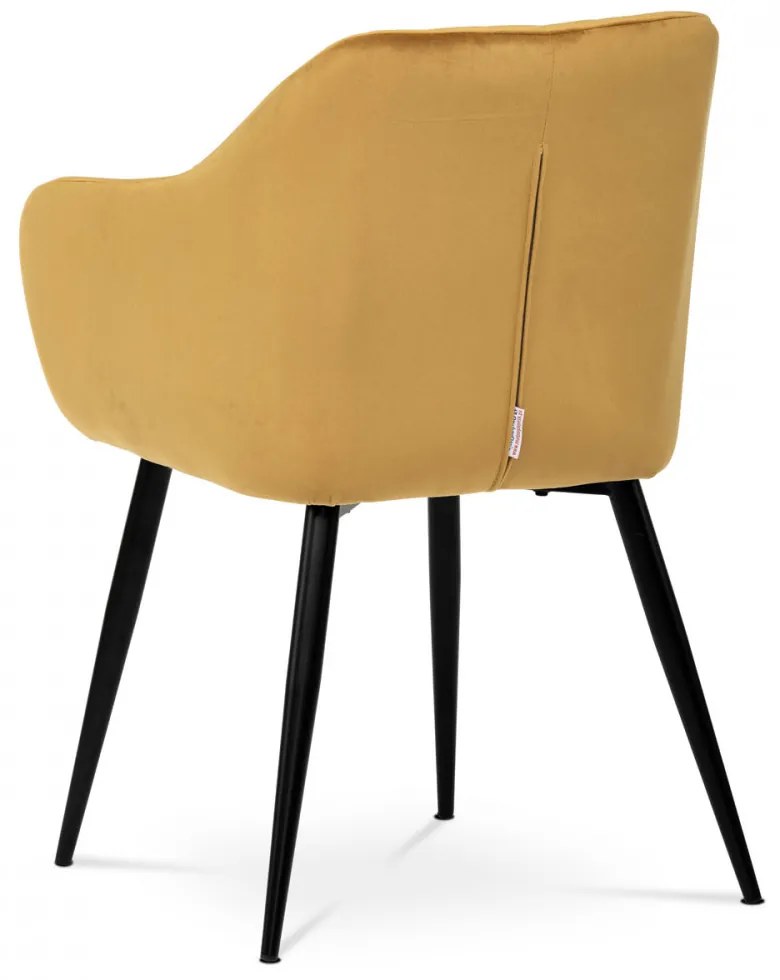 Fotoliu modern din catifea / Scaun de Culoare galbenă Picioare metalice Pika