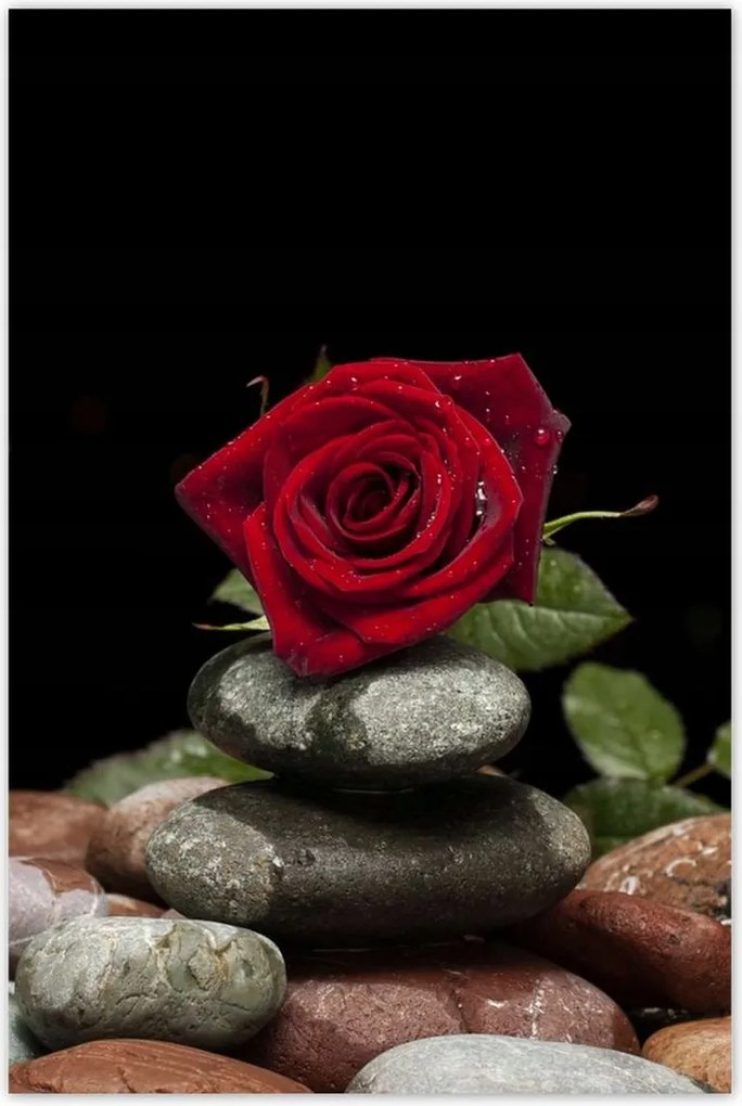 Poszterek 60x90 Spa Wellness Relaxáció Víz