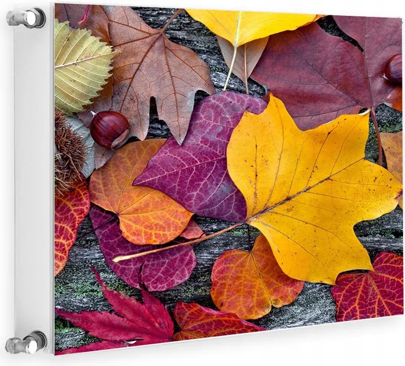 Mágneses Radiátorvédő 60x60 Levelek Fotótapéta