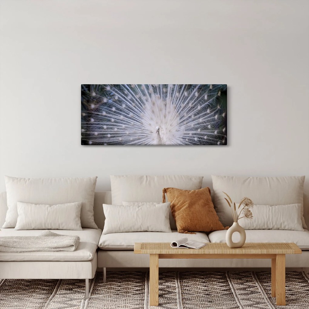 Kép - Fehér páva (120x50 cm)