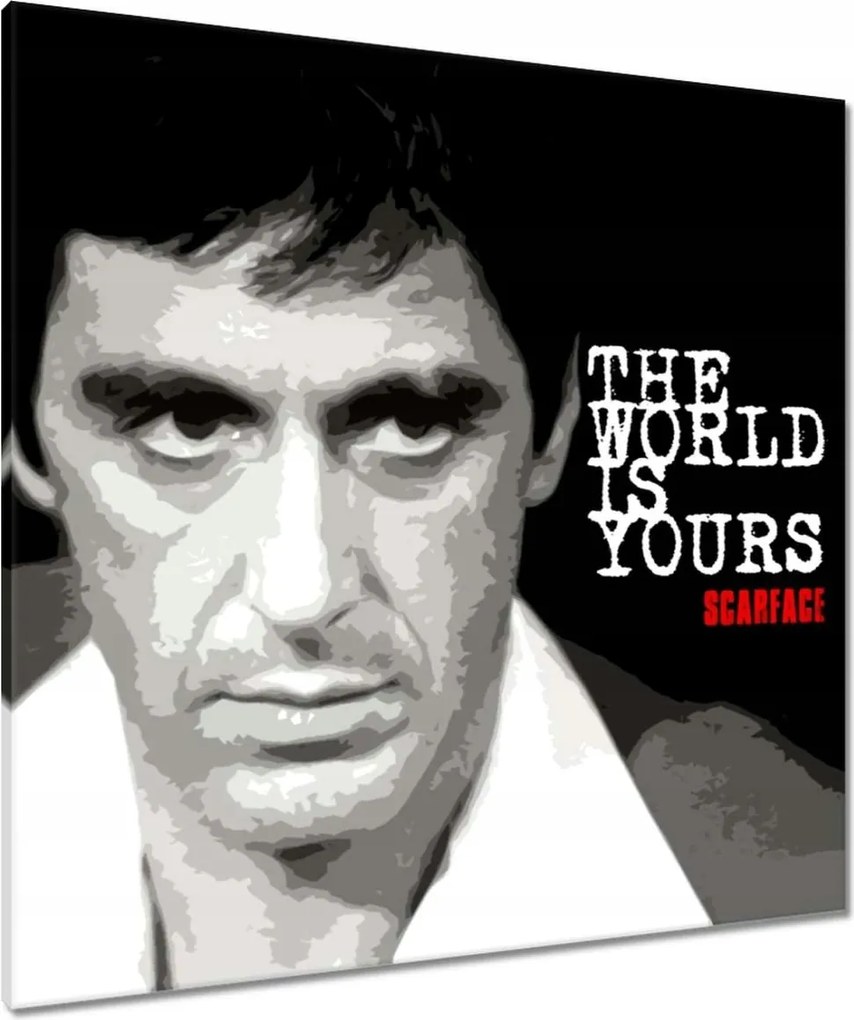 80x80-as képek A Világ a Tiéd Pacino