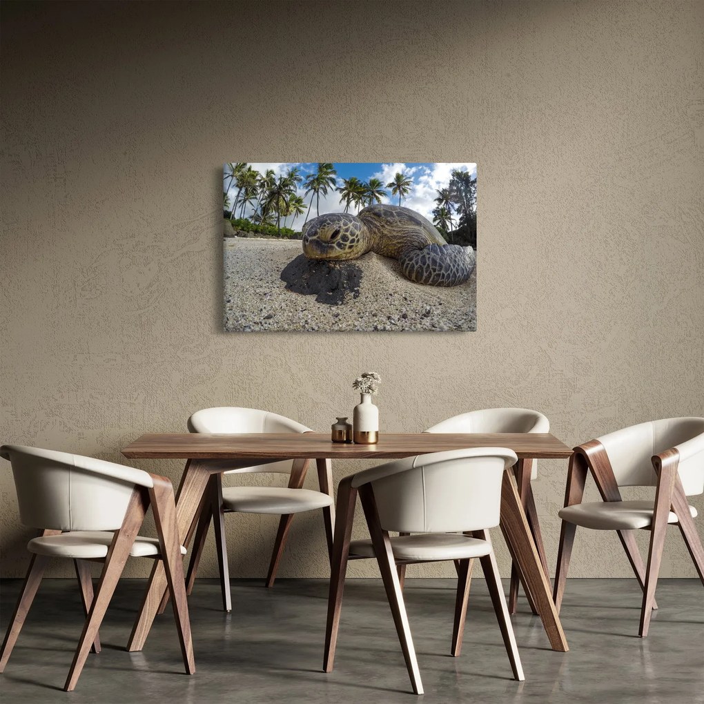 A teknős képe (90x60 cm)