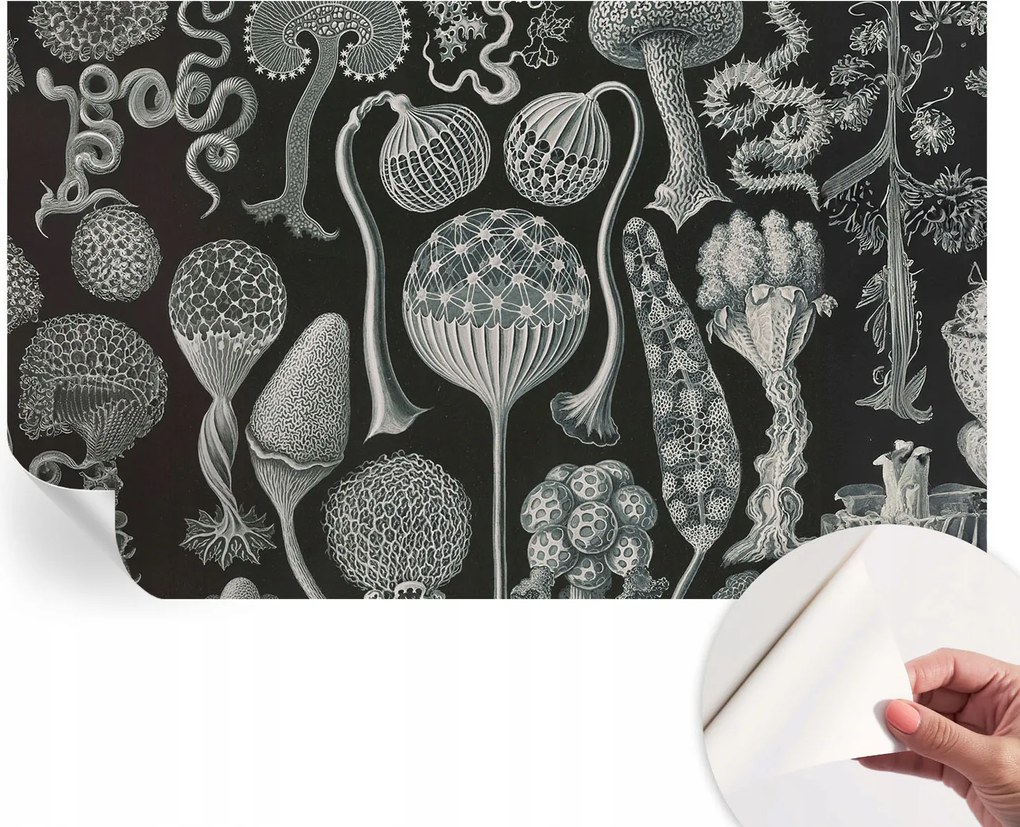 Divatos öntapadós fali tapéta Furnér Varázslatos növények 416x254 cm