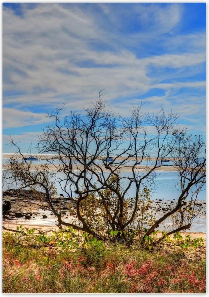 Poszterek 70x100 Kilátás a tengerpartról