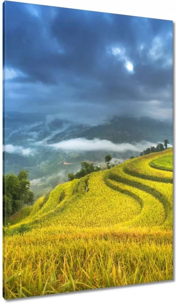 Festmények 80x120 Kilátás Tájkép