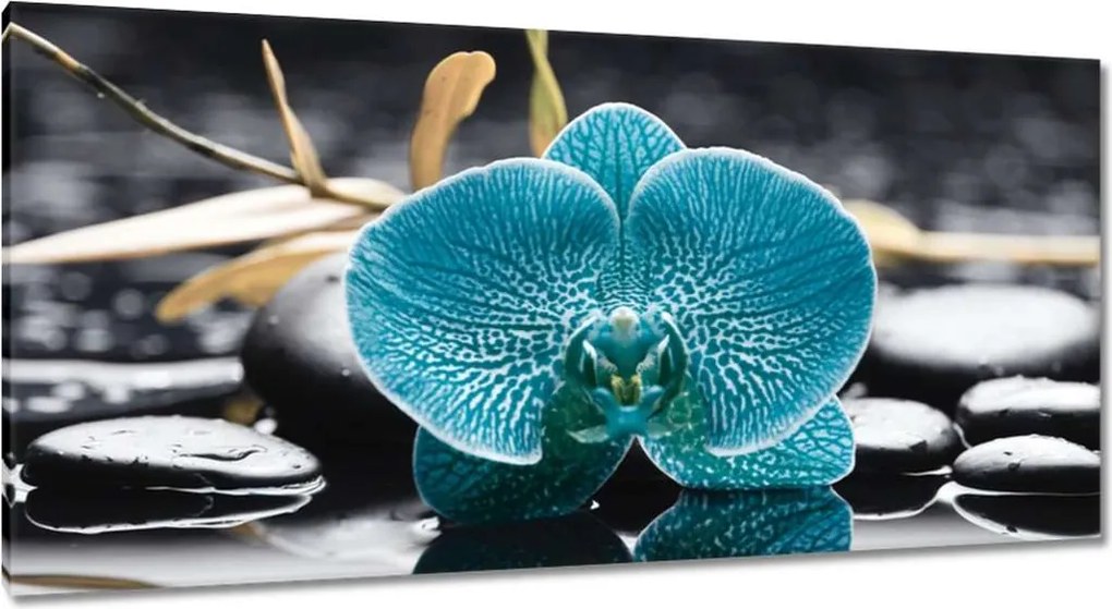 Vászonkép 115x55 Türkiz orchidea Virág