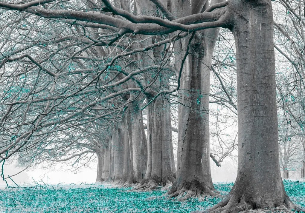 Poszter 100x70cm Fák egy sorban türkiz levelek, Assaf Frank