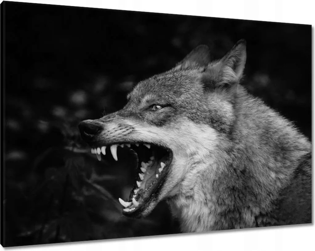 Vászonkép 100x70 Természet Emberség