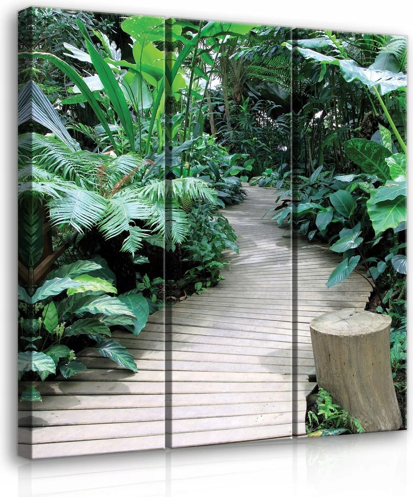 Vászonkép 90x100 Trópusi erdő dzsungel ösvény természet zöld egzotikus nyugalom