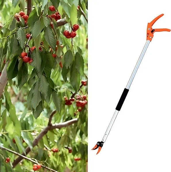 Ágvágó - TREESNIP