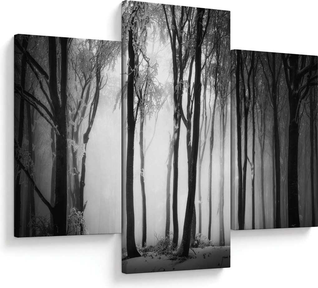 Kép - Farkas a sötét erdőben (90x60 cm)