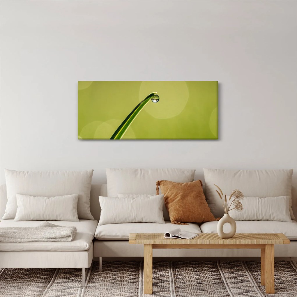 Víz csepp a fűben képe (120x50 cm)