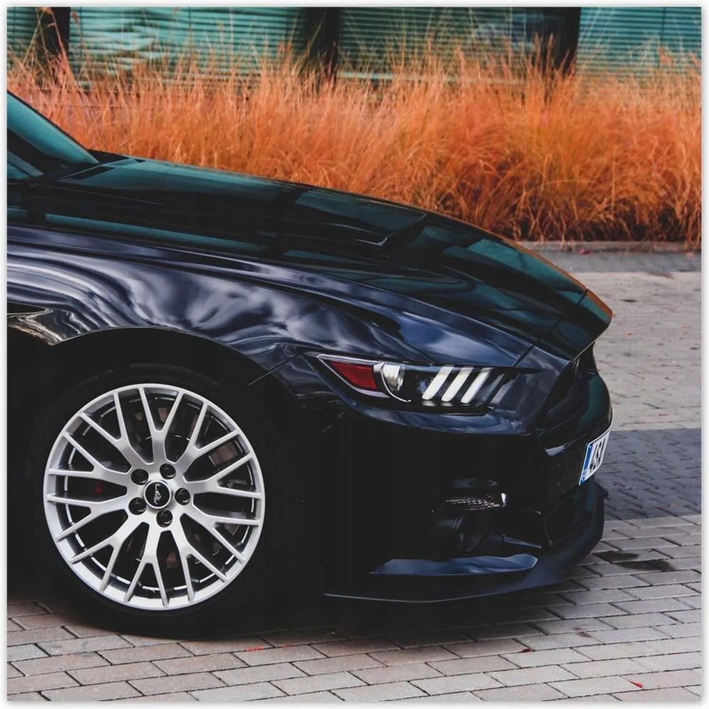 Poszterek 100x100 Ford Mustang Usa autó