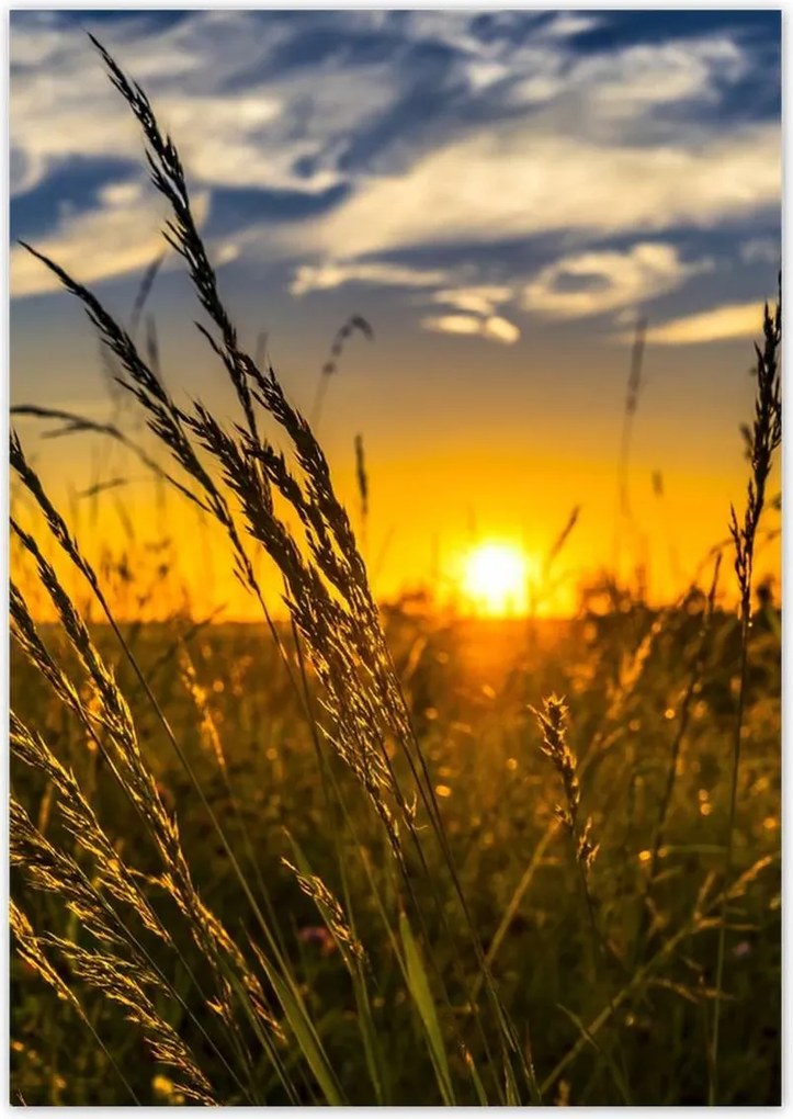 Poszterek A5 Pion Naplemente a füvek között