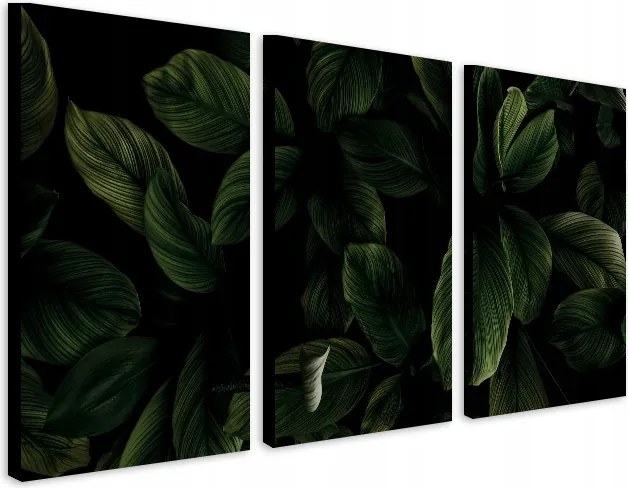 Elegáns képek a nappali hálószobájába Botanikus minta Zöld levelek 60x120