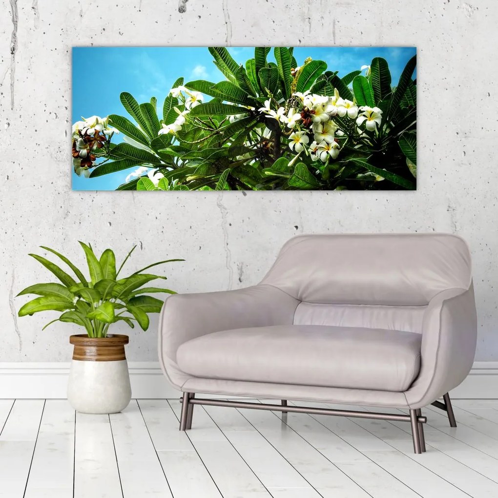 Kép - Plumeria (120x50 cm)