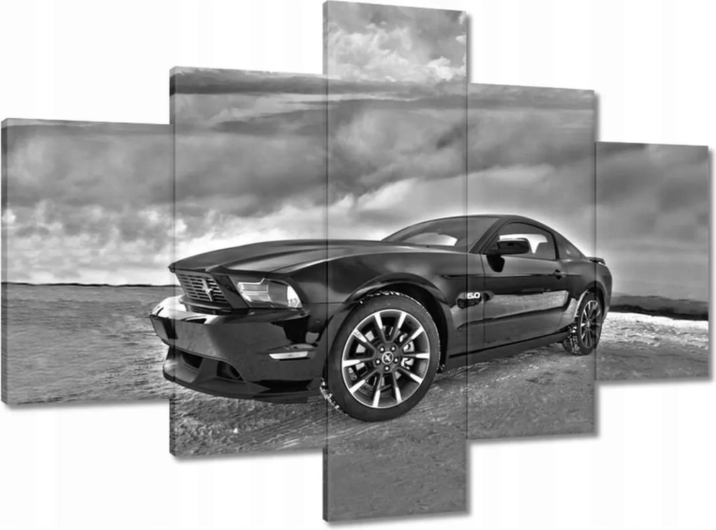 Képek 100x70 Ford Mustang a hóban Autó Klasszikus Made in Usa