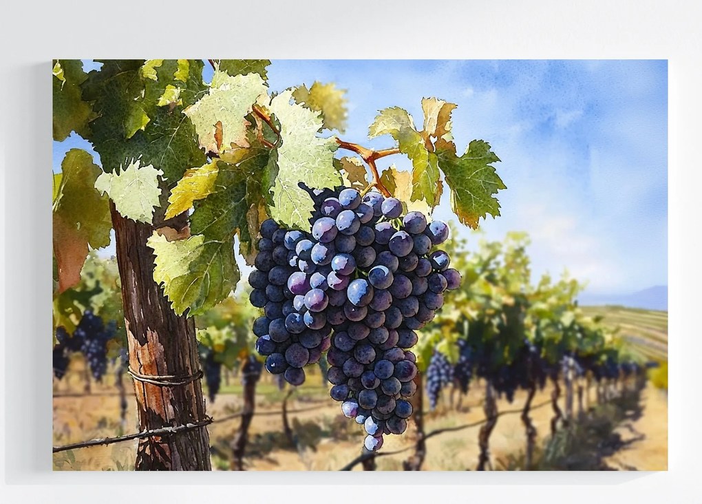 Vászonkép Canvas Szőlő Ősz Tájkép 60x40