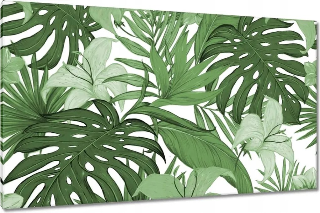 Vászonkép 120x70 Monstera Modern minta