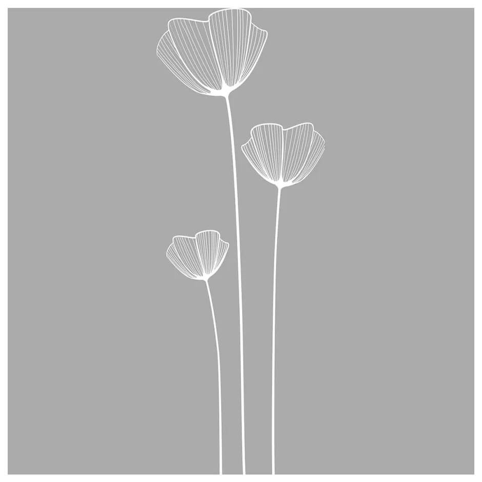 Poppy Flowers zuhanyajtó matrica, 185 x 55 cm - Ambiance