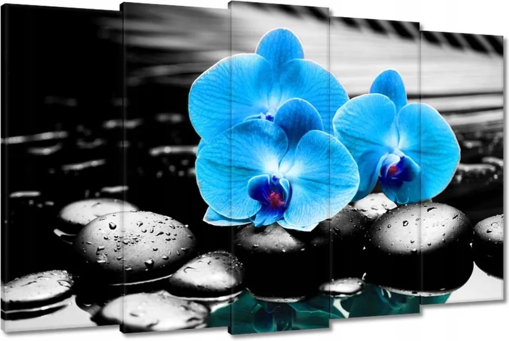 Vászonkép 150x95 Türkiz orchidea Virág