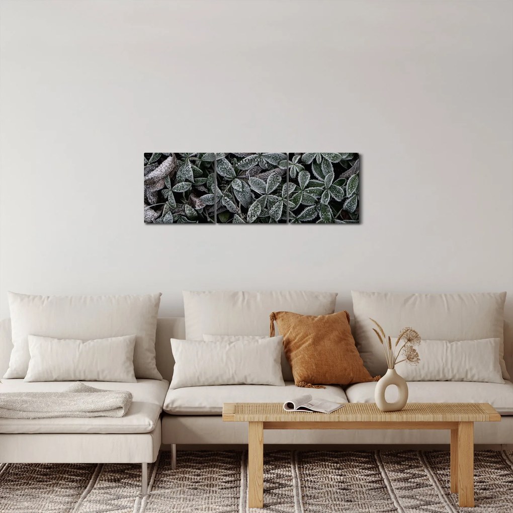 Kép - Fagyasztott növények (órával) (90x30 cm)