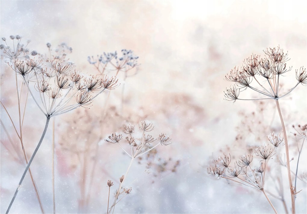 Fotótapéta Virágok Boho Természet Hálószoba Nappali Tapéta Flizelina 150x105