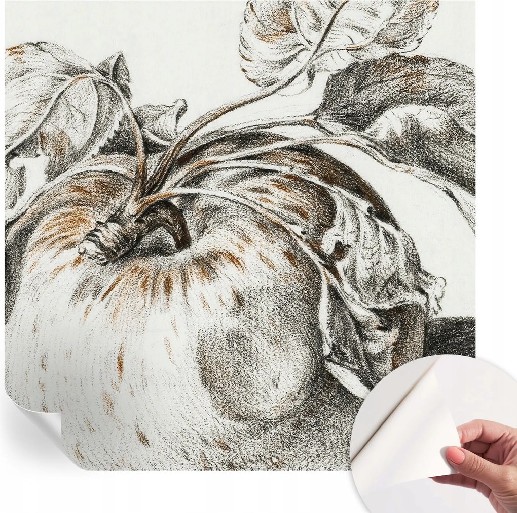 Dekoratív öntapadós fotótapéta irodába Alma levelek 250x250 cm